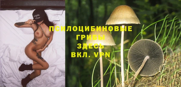 ГАЛЛЮЦИНОГЕННЫЕ ГРИБЫ Абдулино