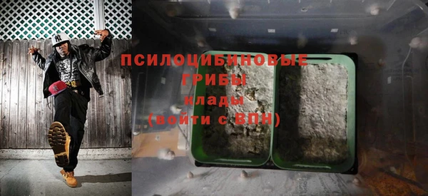 трава Абаза