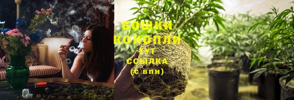 ГАЛЛЮЦИНОГЕННЫЕ ГРИБЫ Абдулино