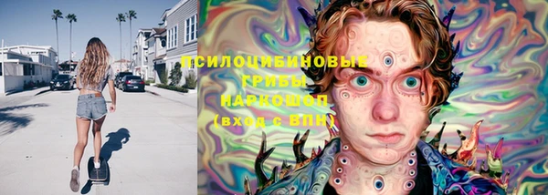 ГАЛЛЮЦИНОГЕННЫЕ ГРИБЫ Абдулино