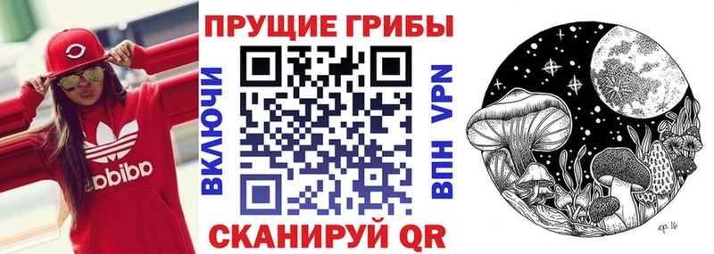 Псилоцибиновые грибы Psilocybe  Сольцы 
