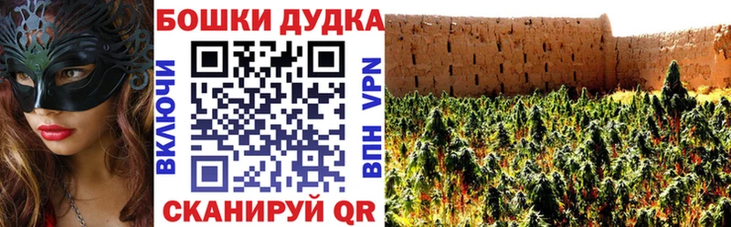 kraken ТОР  Сольцы  Конопля планчик  где продают наркотики 